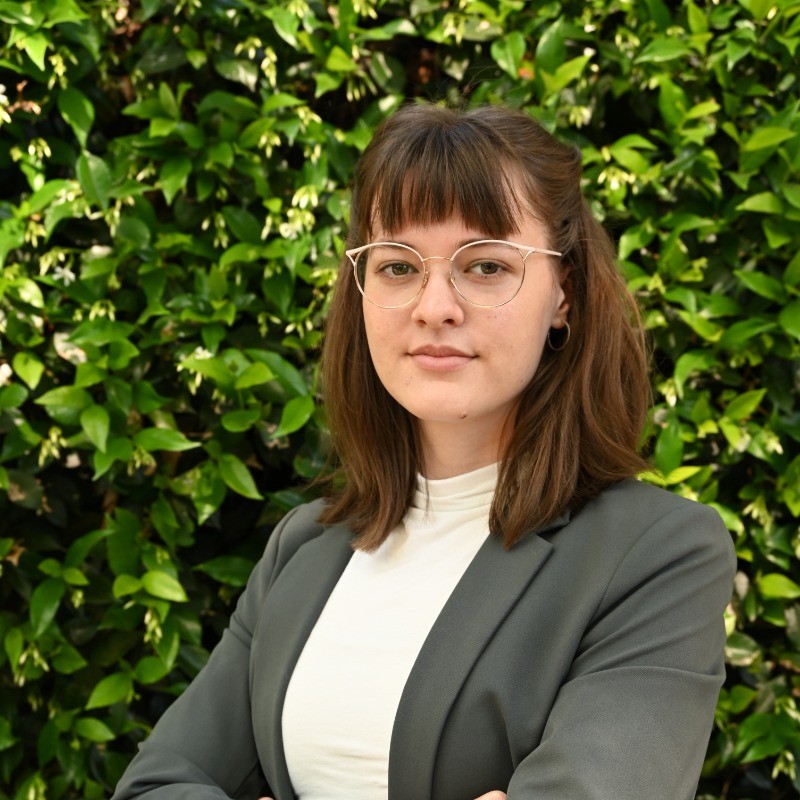 profile picture of scsstrang